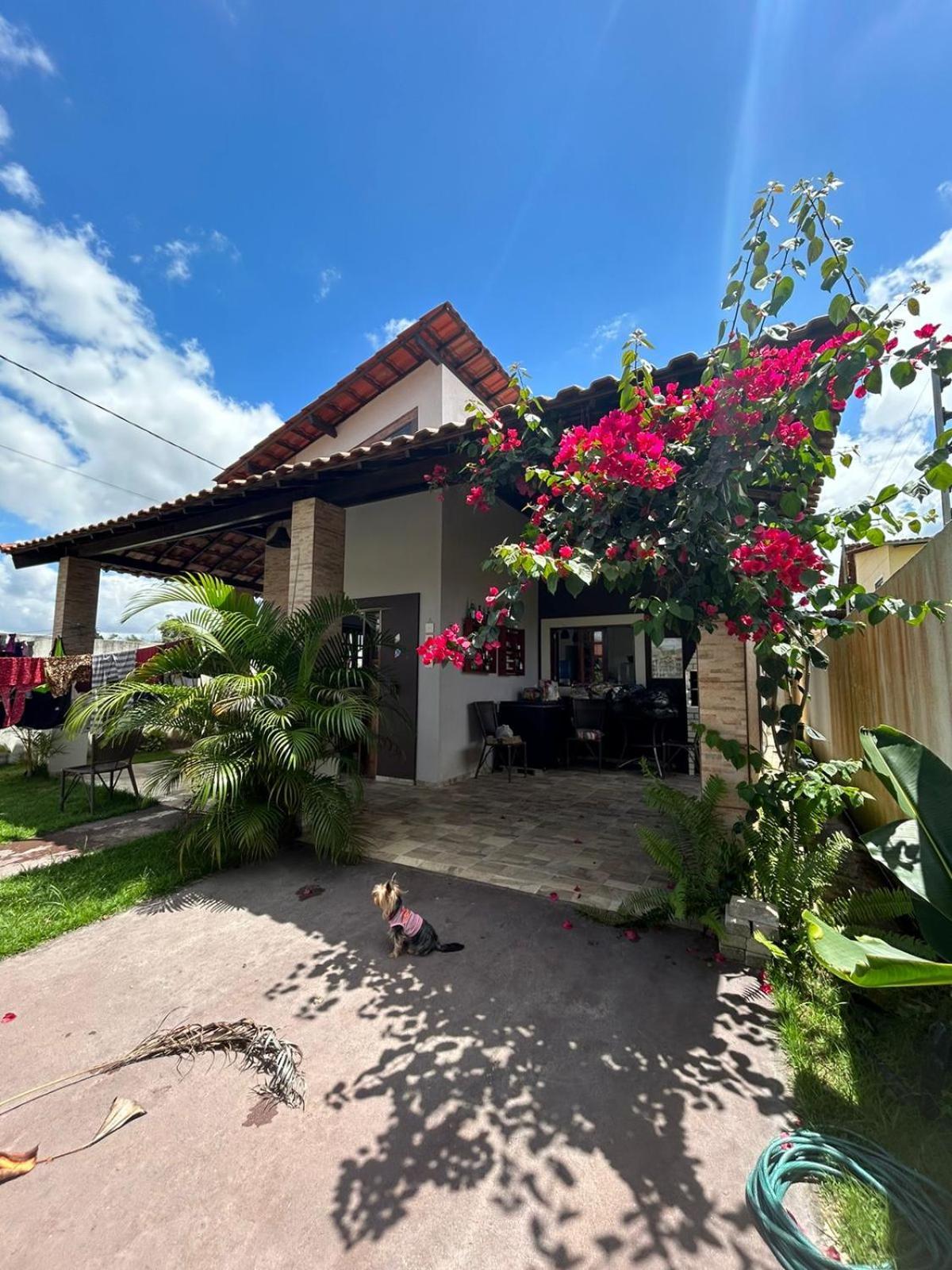 Chale Bananeiras A 800M Da Arena Bananeiras Villa Dış mekan fotoğraf